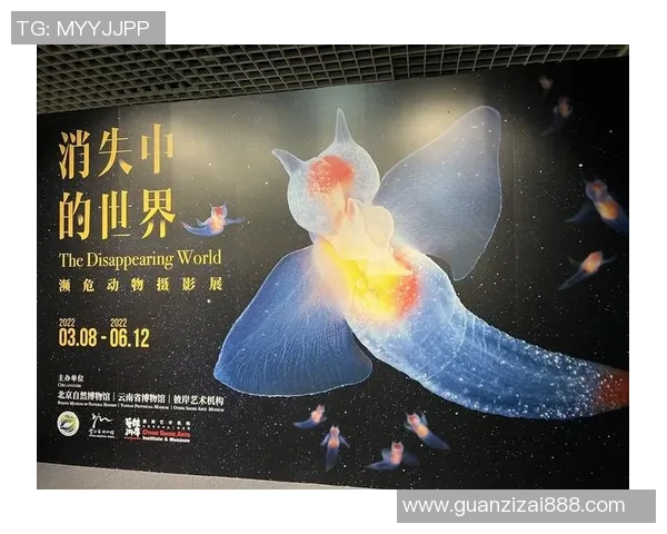 探索罗森文的艺术魅力与文化影响力在当代社会的深远意义